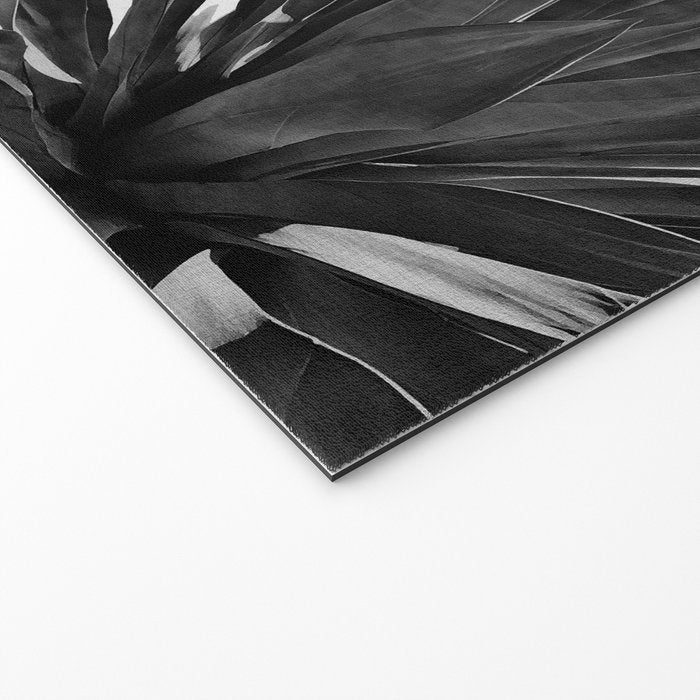 Agave Cactus Black & White Welcome Mat Gallery Image 2