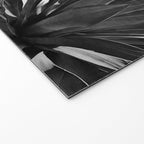Agave Cactus Black & White Welcome Mat Gallery Image 2