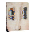 Digitex Triacotine 29 Canvas Print Gallery Image 6