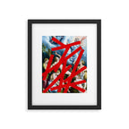 The Historical Brutality of the Gaze As Seen By Those With Power Framed Art Print Gallery Image 6