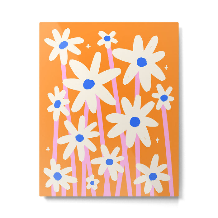 Daisies In Bloom Metal Print Gallery Image 1