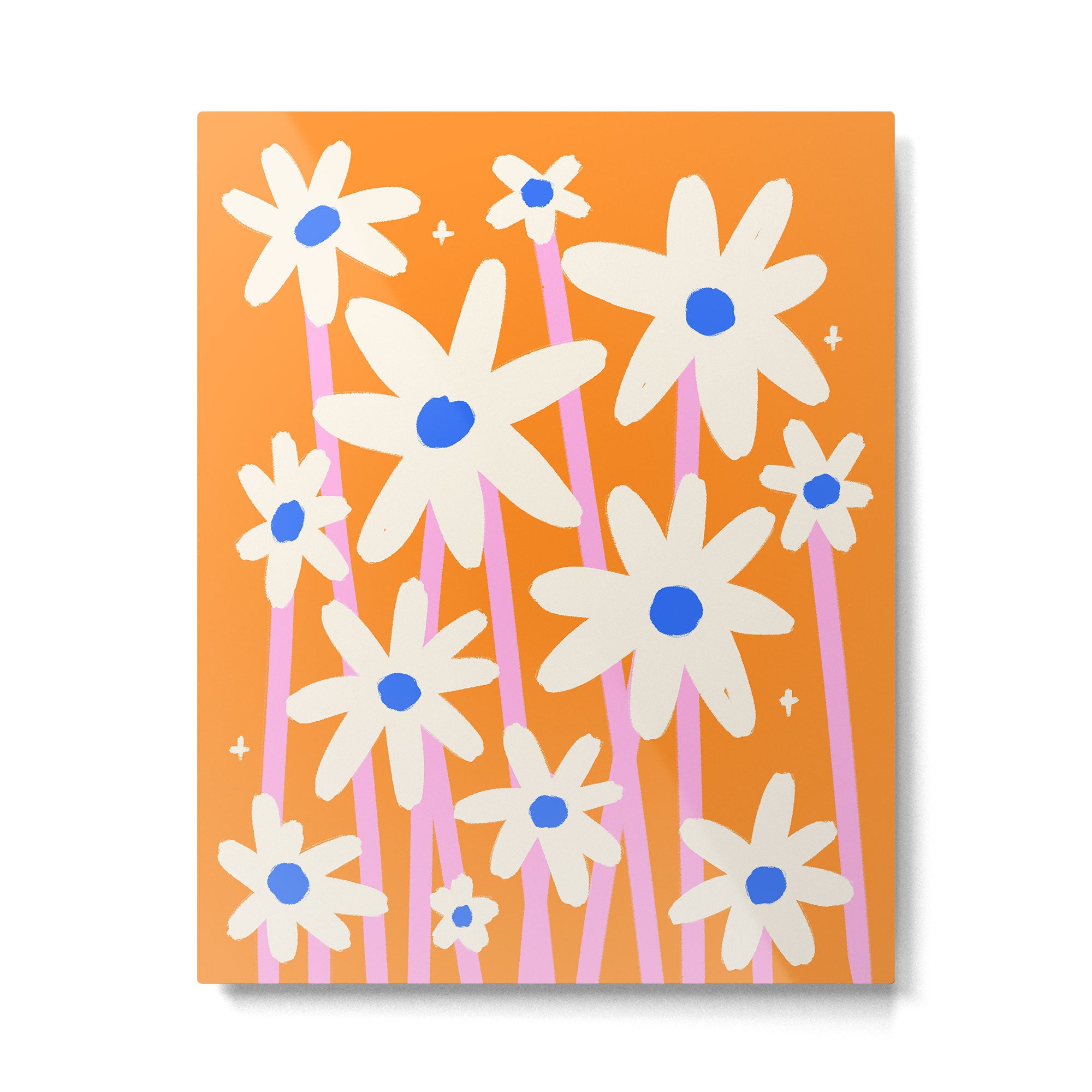Daisies In Bloom Metal Print Gallery Image 6