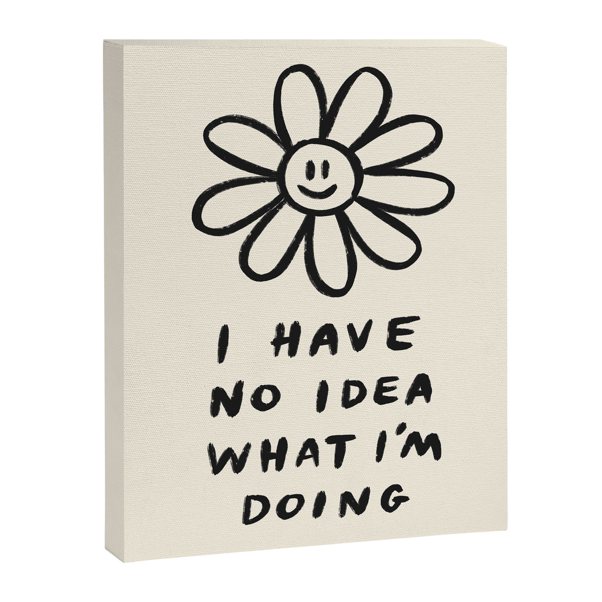 No Idea What I'm Doing Canvas Print Gallery Image 6