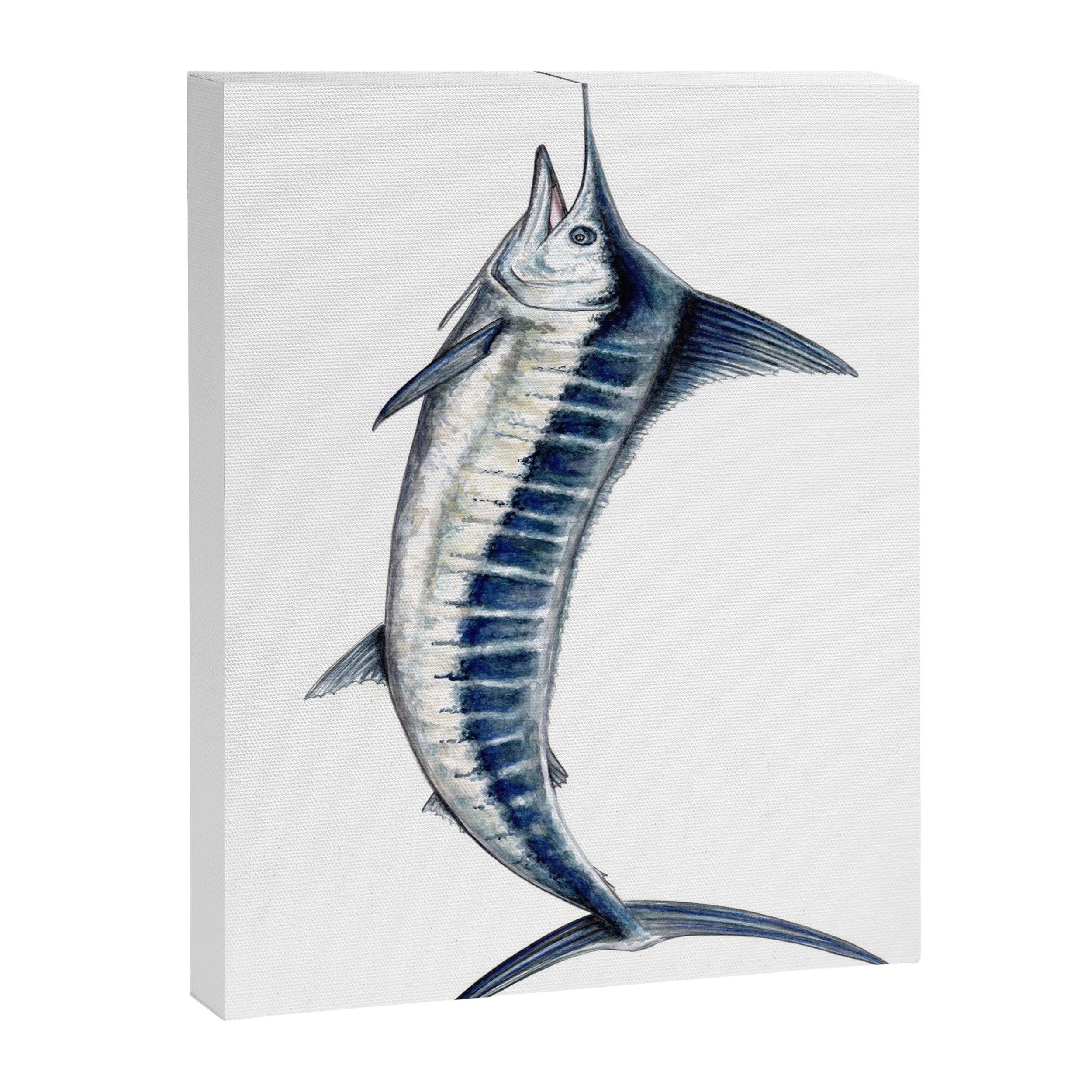 Blue Marlin (Makaira nigricans) Canvas Print Gallery Image 8