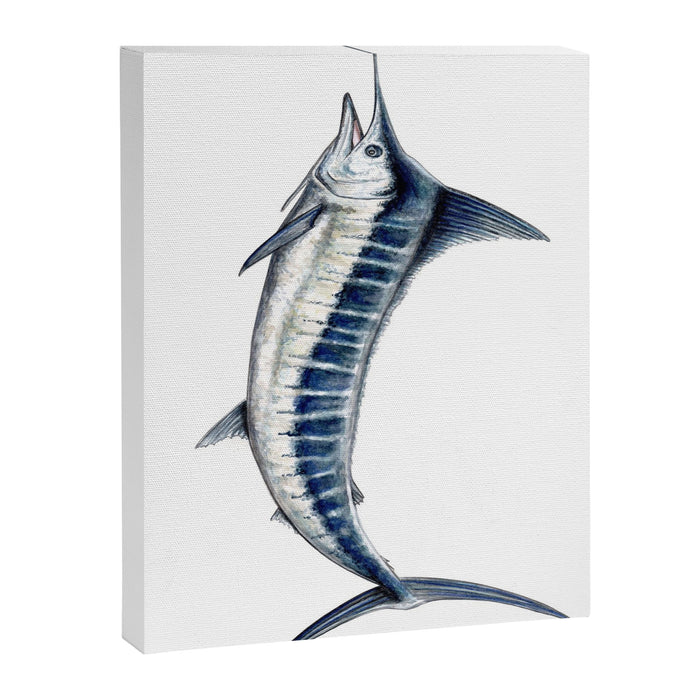 Blue Marlin (Makaira nigricans) Canvas Print Gallery Image 1