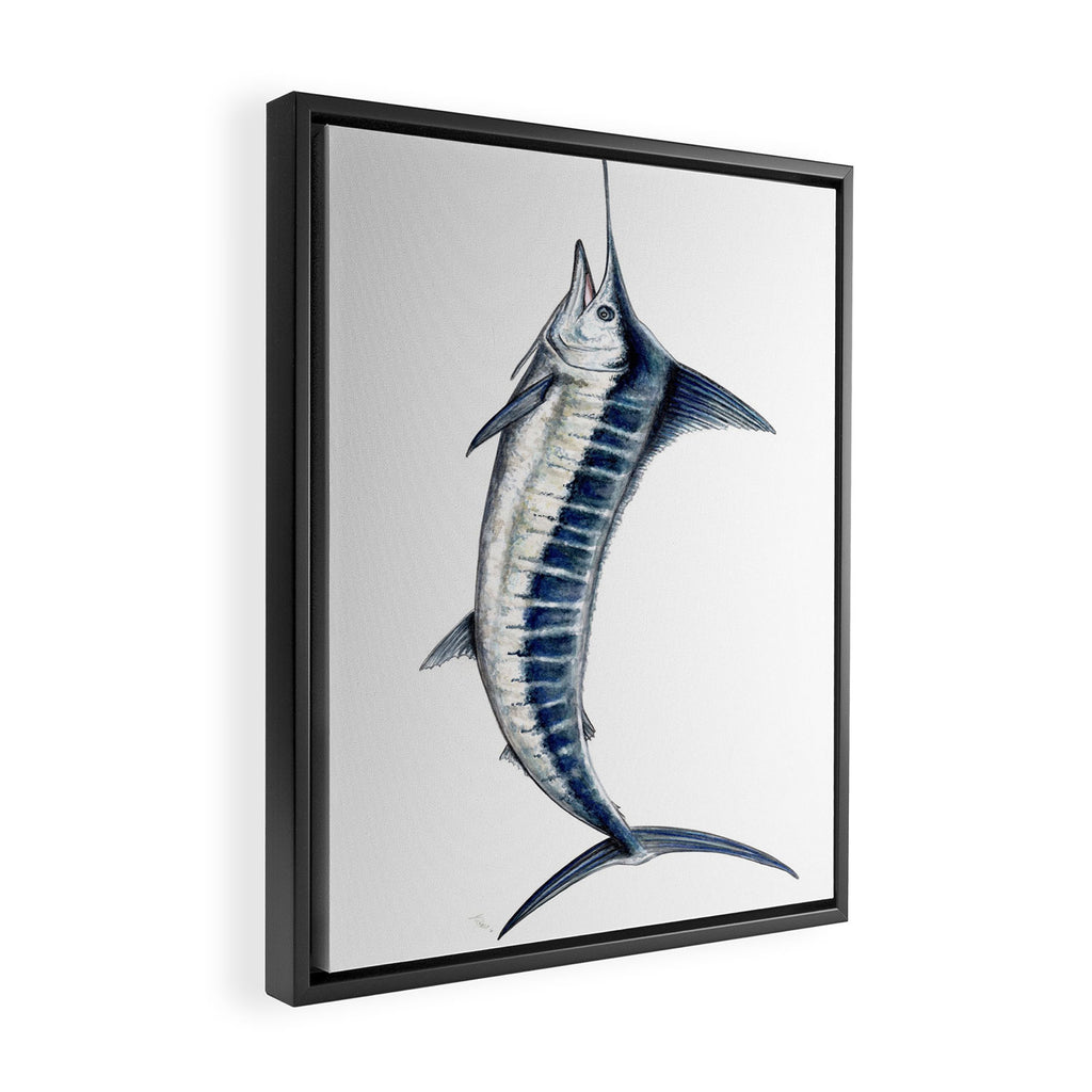 Blue Marlin (Makaira nigricans) Framed Canvas Print Gallery Image 2