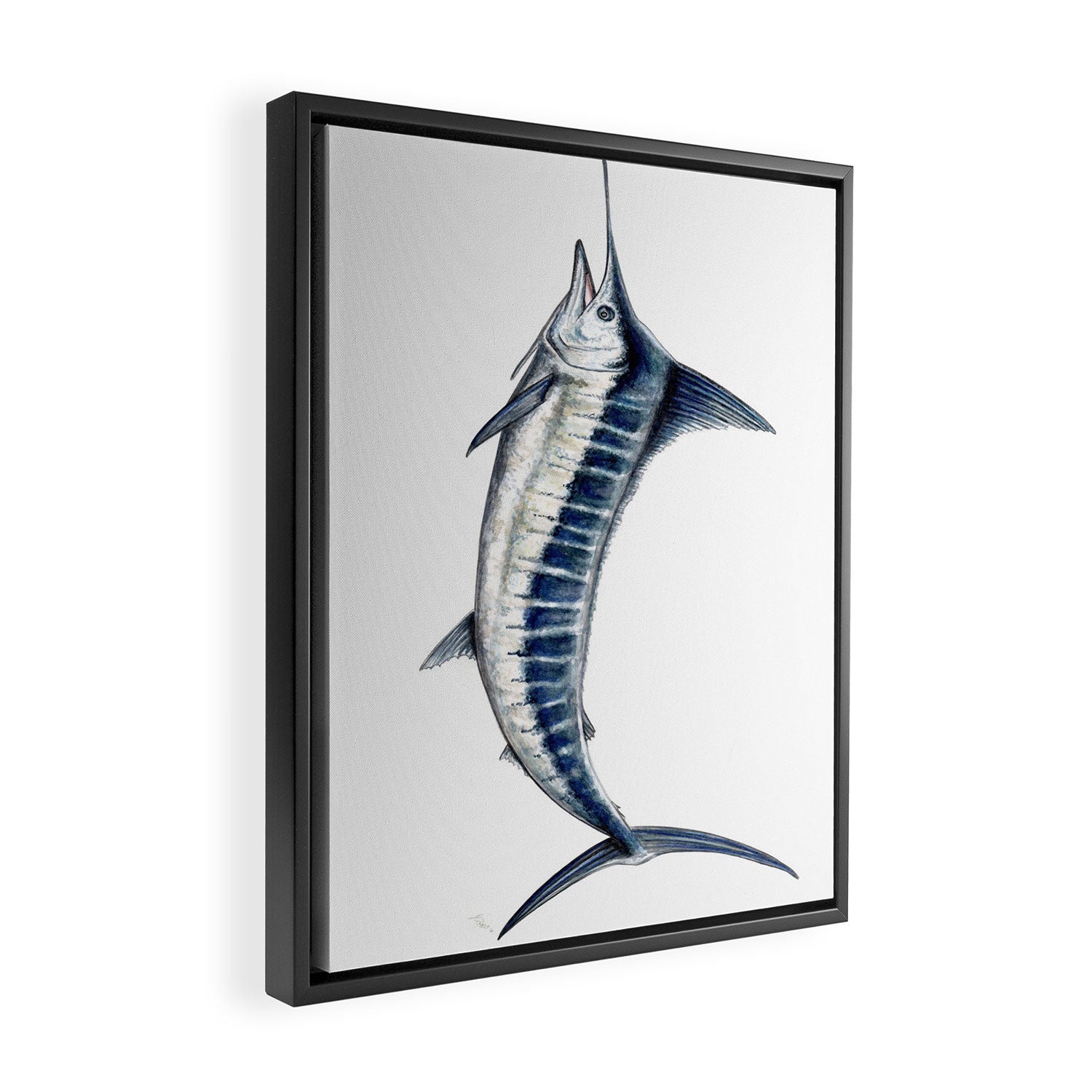 Blue Marlin (Makaira nigricans) Framed Canvas Print Gallery Image 2