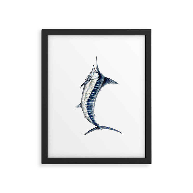 Blue Marlin (Makaira nigricans) Framed Art Print Gallery Image 6