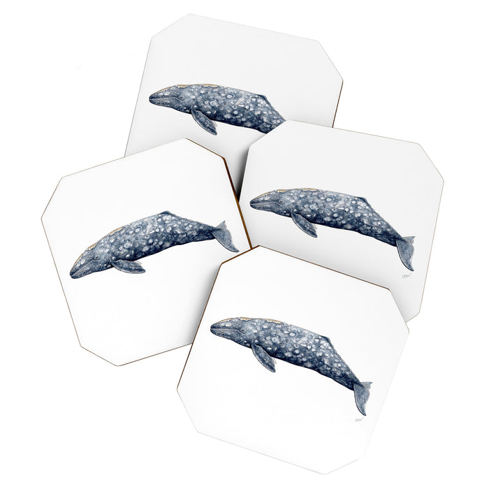 Grey whale Coaster Gallery Image 1