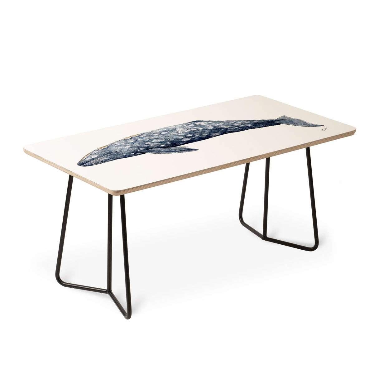 Grey whale Coffee Table Gallery Image 2