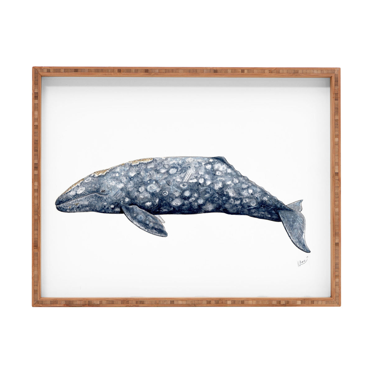 Grey whale Serving Tray Gallery Image 1