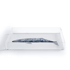 Grey whale Acrylic Tray Gallery Image 2
