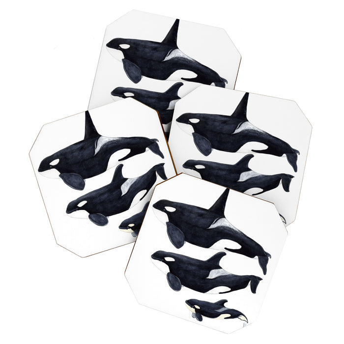 Orca (Orcinus orca) Coaster Gallery Image 1
