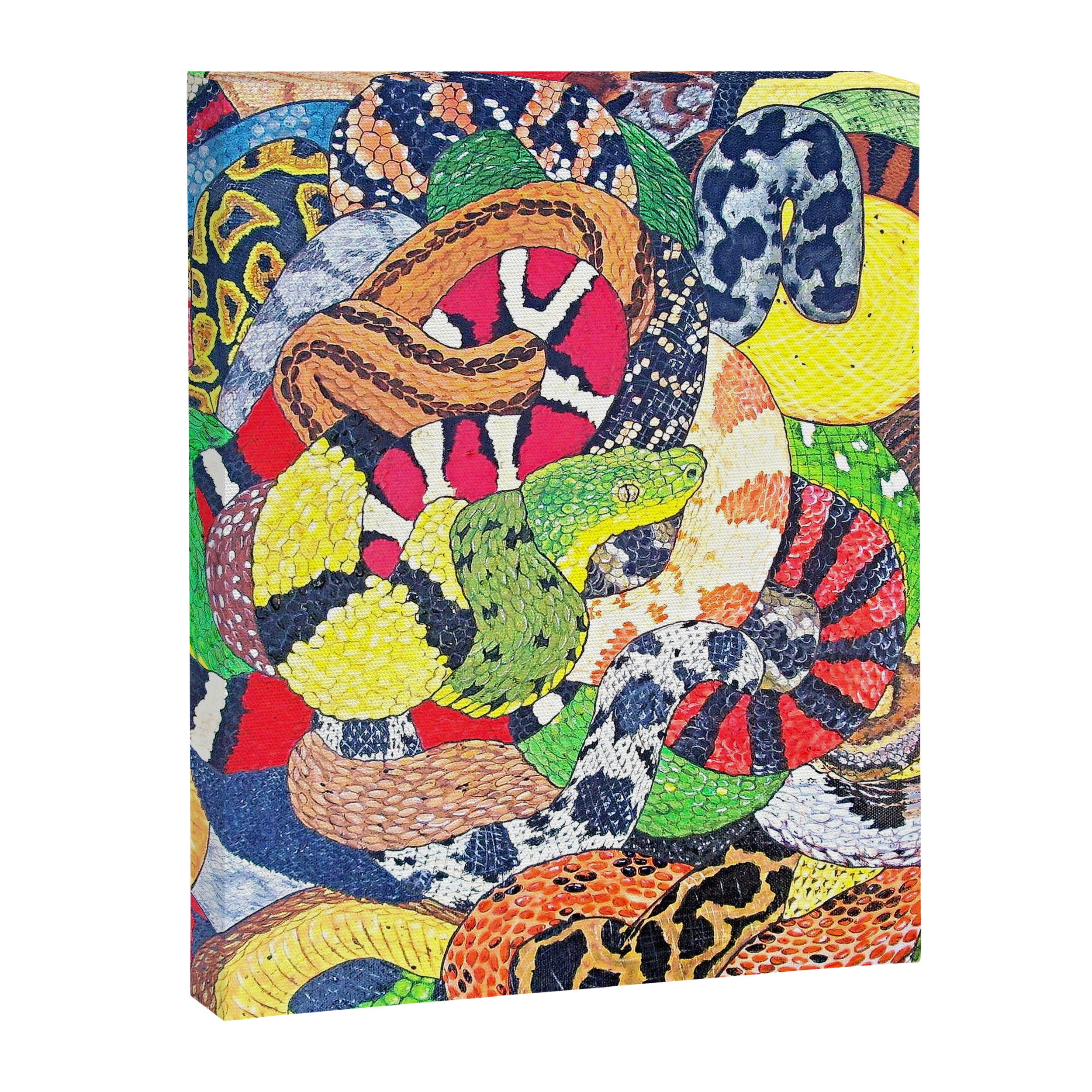 Snakes Canvas Print Gallery Image 8