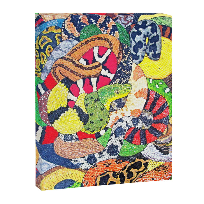 Snakes Canvas Print Gallery Image 1