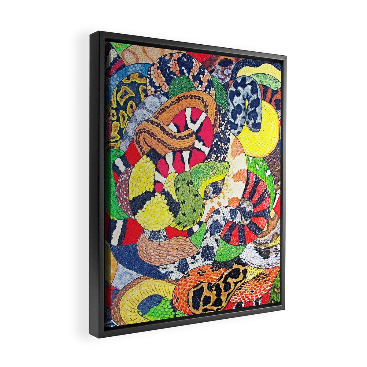 Snakes Framed Canvas Print Gallery Image 2