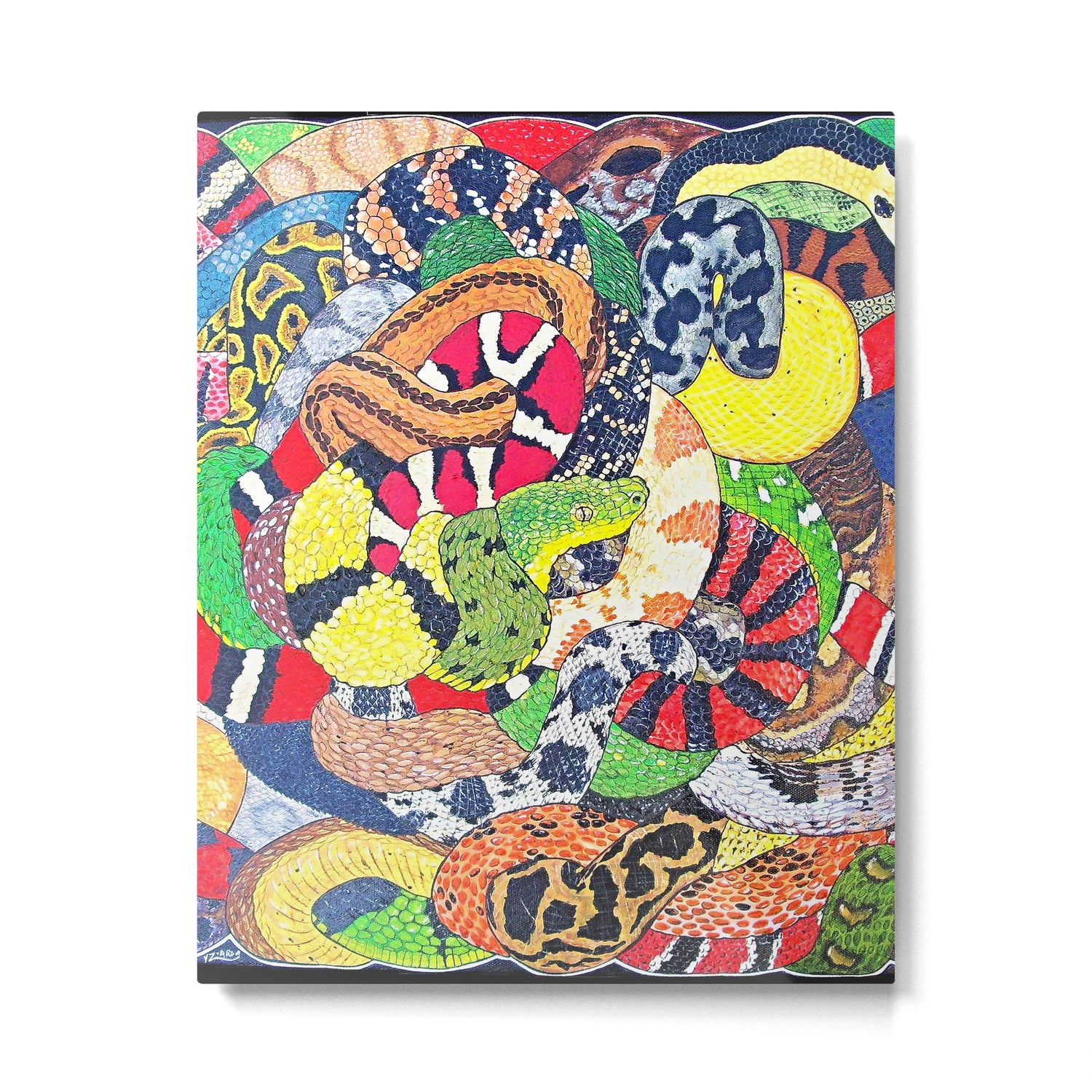 Snakes Metal Print Gallery Image 6
