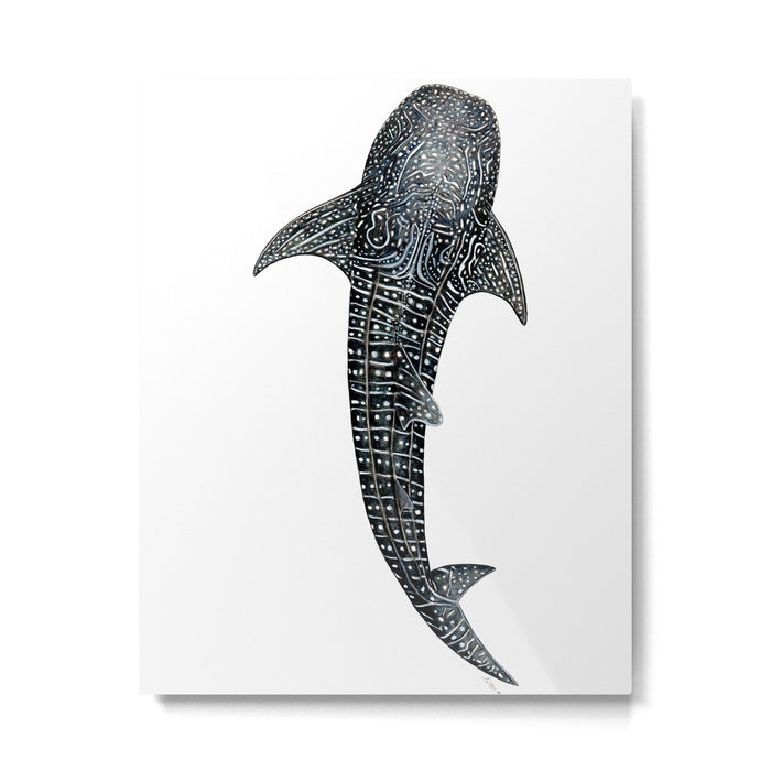 Whale shark for divers, shark lovers and fishermen Metal Print Gallery Image 1
