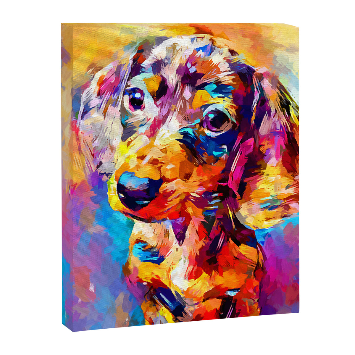 Mini Dachshund Canvas Print Gallery Image 6