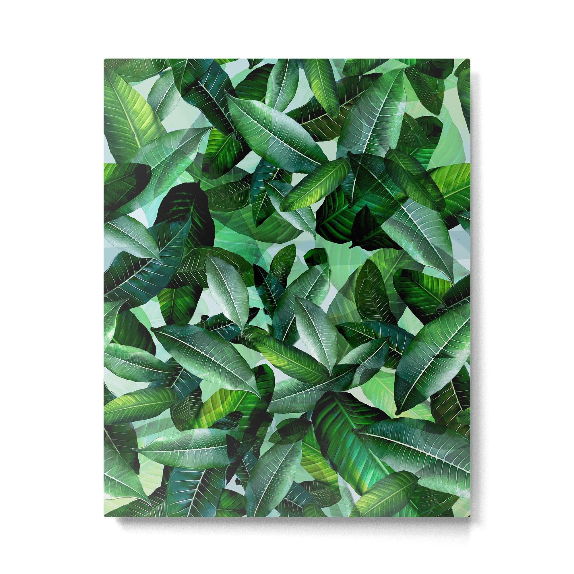 Banana palm leaf tropical jungle green Metal Print Gallery Image 4