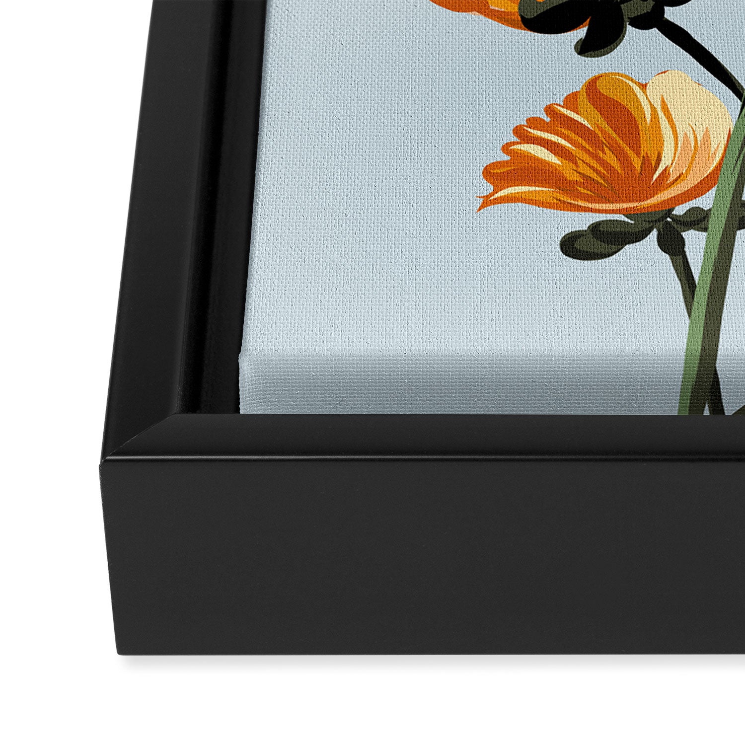 California poppies, Spring flowers warm colors, Framed Canvas Print Gallery Image 3