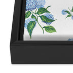 Hydrangeas blue and white - Jumbo Framed Canvas Print Gallery Image 3