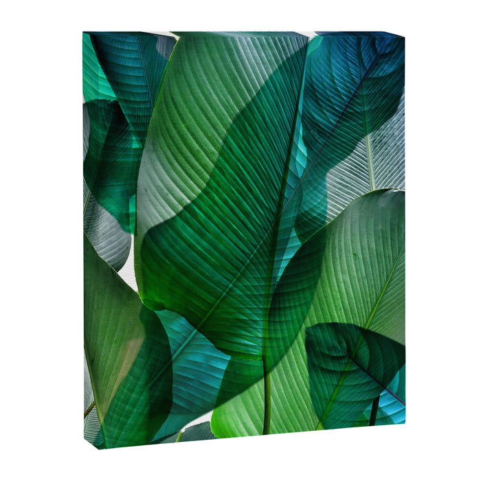 Palm leaf jungle Bali banana palm frond greens Canvas Print Gallery Image 1