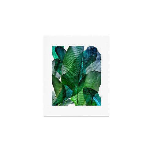 Palm Leaf Jungle Bali Banana Palm Frond Greens Art Print Gallery Image 1