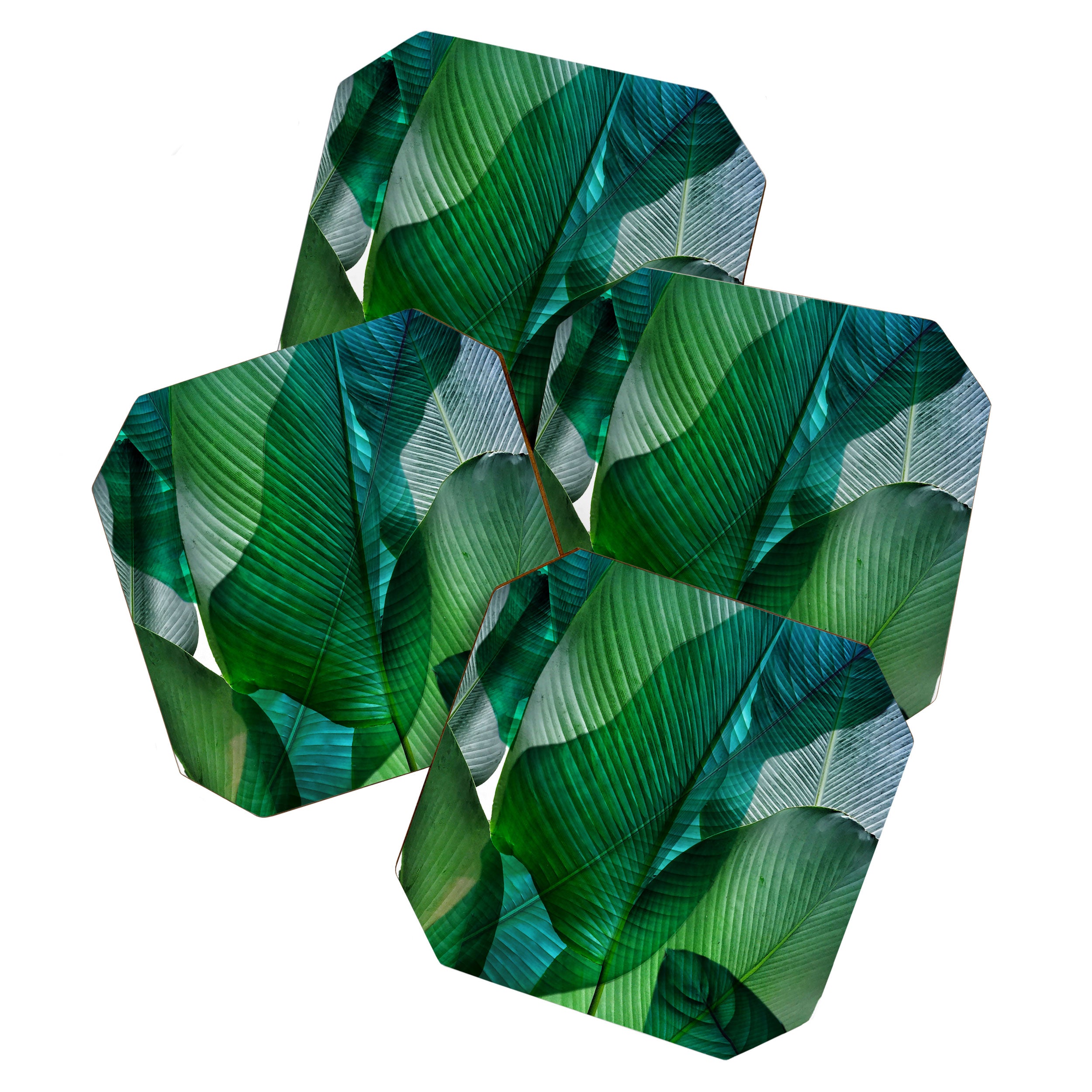 Palm leaf jungle Bali banana palm frond greens Coaster Gallery Image 1