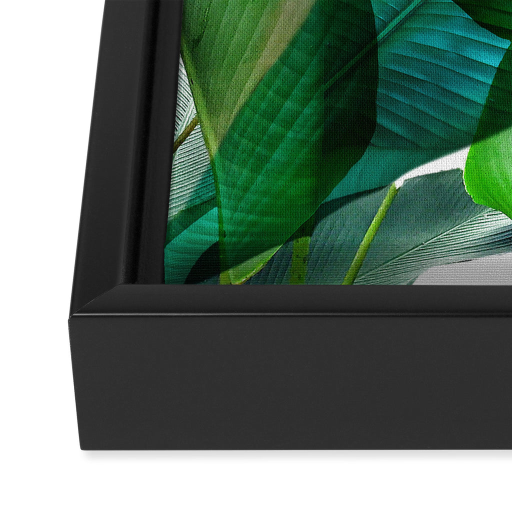 Palm leaf jungle Bali banana palm frond greens Framed Canvas Print Gallery Image 3