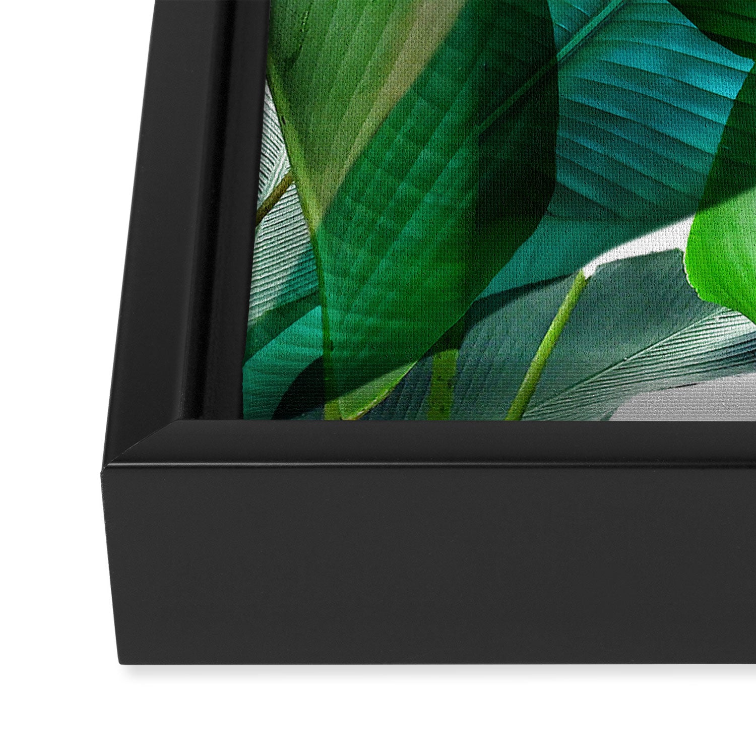 Palm leaf jungle Bali banana palm frond greens Framed Canvas Print Gallery Image 3