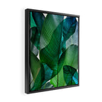 Palm leaf jungle Bali banana palm frond greens Framed Canvas Print Gallery Image 2