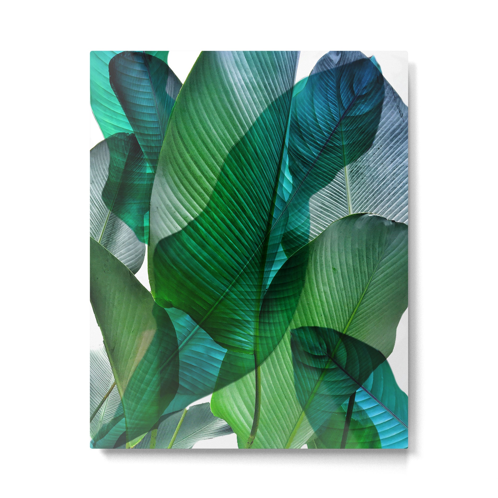 Palm leaf jungle Bali banana palm frond greens Metal Print Gallery Image 6