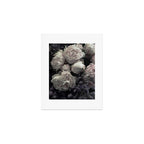 Peonies pale pink and white floral bunch Art Print Gallery Image 1