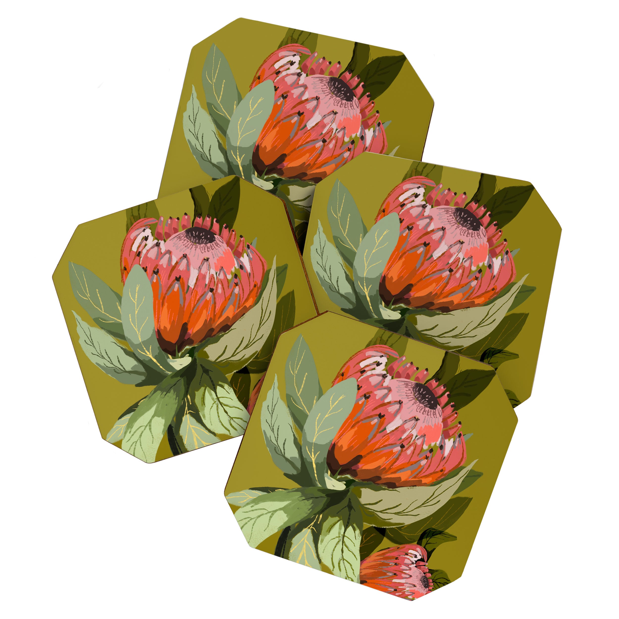 Protea, Australian native, flower, abstract, olive green, bright colors Coaster Gallery Image 1