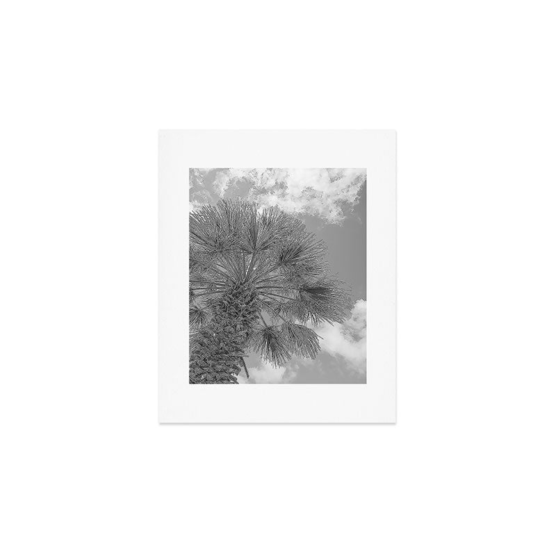 Black and white palm tree in Spain - summer nature and travel photography.  Art Print Gallery Image 1