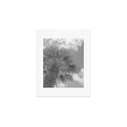 Black and white palm tree in Spain - summer nature and travel photography.  Art Print Gallery Image 1
