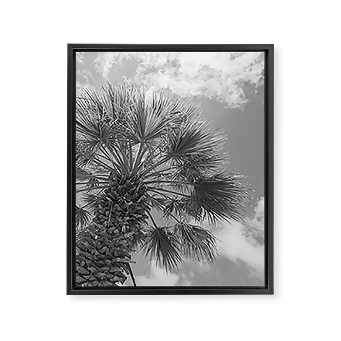 Black and white palm tree in Spain - summer nature and travel photography.  Framed Canvas Print Gallery Image 1