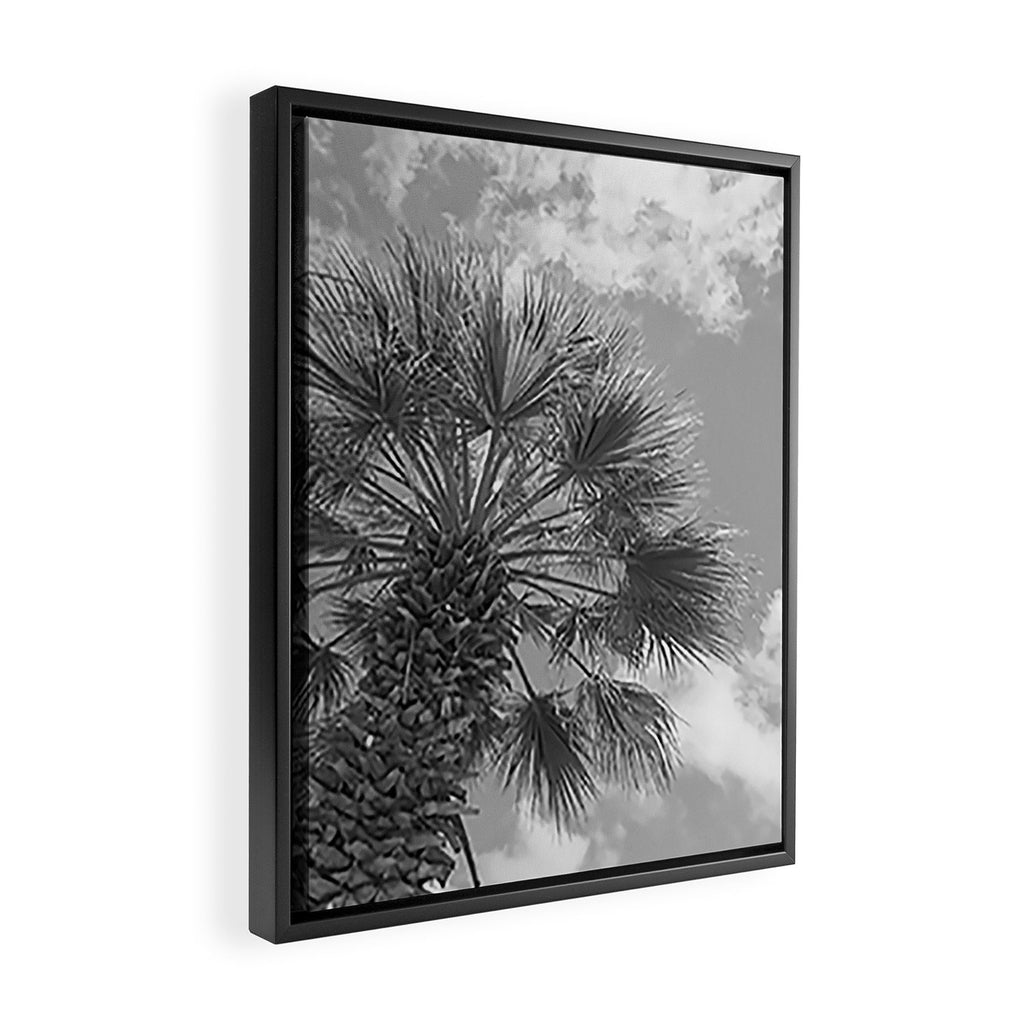 Black and white palm tree in Spain - summer nature and travel photography.  Framed Canvas Print Gallery Image 2