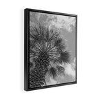 Black and white palm tree in Spain - summer nature and travel photography.  Framed Canvas Print Gallery Image 2