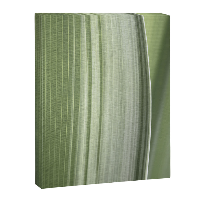 Botanical green abstract tropical leaf art print - mindful nature and travel photography Canvas Print Gallery Image 1
