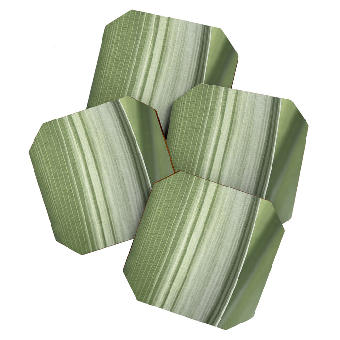 Botanical green abstract tropical leaf art print - mindful nature and travel photography Coaster Gallery Image 1