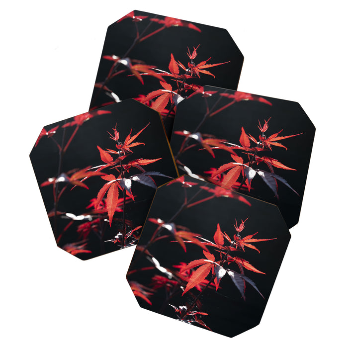 Botanical red japanese maple leaves art print - botanical nature and travel photography Coaster Gallery Image 1