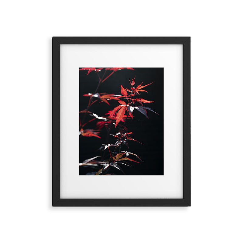 Botanical red japanese maple leaves art print - botanical nature and travel photography Framed Art Print Gallery Image 5