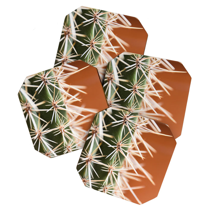 Cactus pattern in Marrakech in the summer - Green, terra cotta mediterranean - Travel Photography Coaster Gallery Image 1