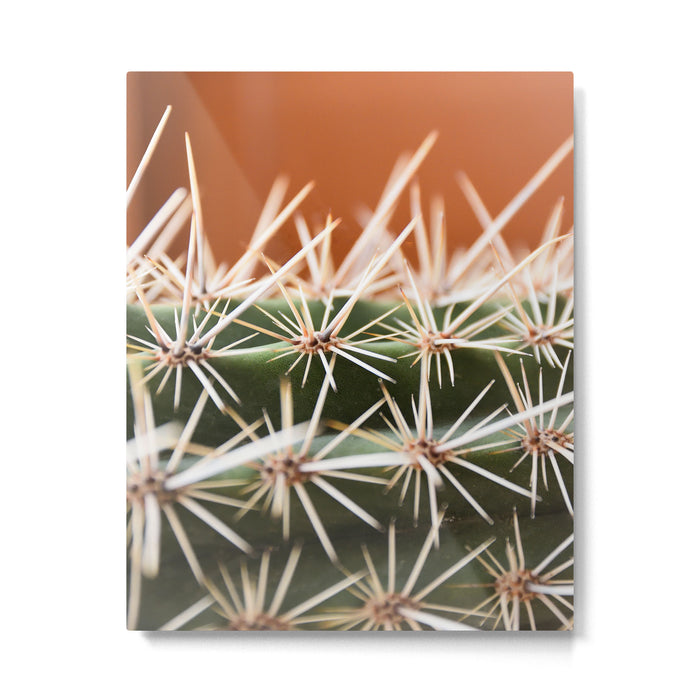 Cactus pattern in Marrakech in the summer - Green, terra cotta mediterranean - Travel Photography Metal Print Gallery Image 1