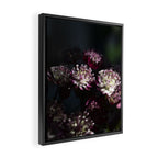 Full moon forest - still life dark astrantia major flowers - deep purple fall nature photography. Framed Canvas Print Gallery Image 2