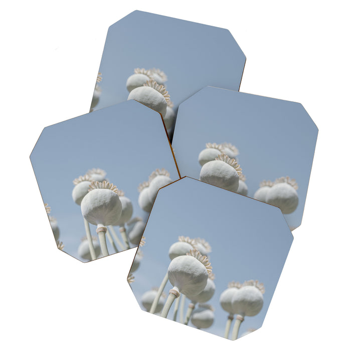 Nostalgic midtones poppy bulbs in a blue sky - retro style nature photography Coaster Gallery Image 1