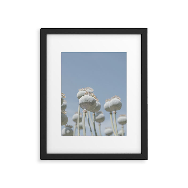 Nostalgic midtones poppy bulbs in a blue sky - retro style nature photography Framed Art Print Gallery Image 5