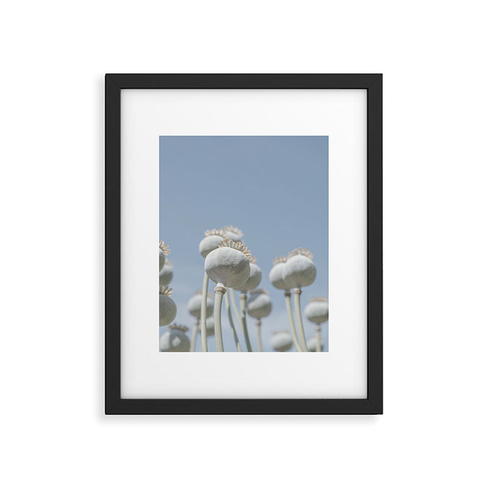 Nostalgic midtones poppy bulbs in a blue sky - retro style nature photography Framed Art Print Gallery Image 1